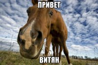 привет витян