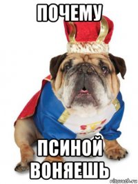 почему псиной воняешь