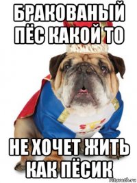 бракованый пёс какой то не хочет жить как пёсик