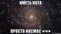 иметь кота просто космос ♥♥♥