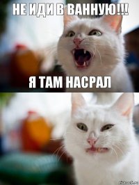 Не иди в ванную!!! Я там насрал