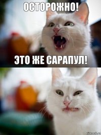 Осторожно! Это же сарапул!