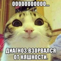 ооооооооооо... диагноз:взорвался от няшности.