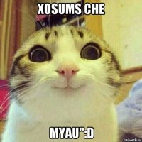 xosums che myau":d