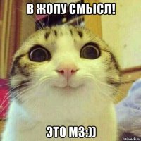 в жопу смысл! это мз:))