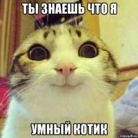 ты знаешь что я умный котик