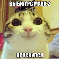 выбил pg mark 2 проснулся