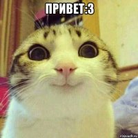 привет:3 