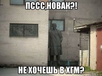 пссс,новак?! не хочешь в хгм?