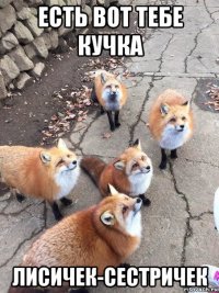 есть вот тебе кучка лисичек-сестричек