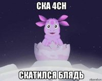 ска 4ch скатился блядь