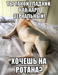 ты такой гладкий, как карп зеркальный! хочешь на ротана?