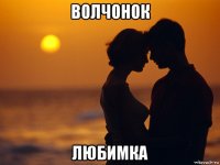 волчонок любимка