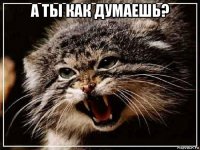 а ты как думаешь? 