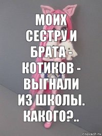 моих сестру и брата - котиков - выгнали из школы. Какого?..