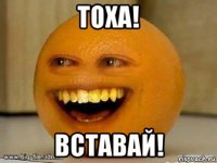 тоха! вставай!