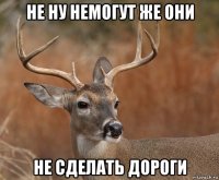 не ну немогут же они не сделать дороги