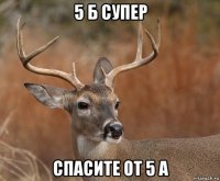 5 б супер спасите от 5 а