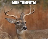 мои тимейты 