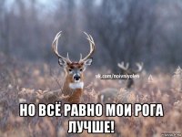  но всё равно мои рога лучше!