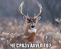  чё сразу ахуел то?