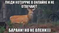 люди которрие в онлайне и не отвечают: барани! но не олени)))