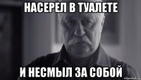 насерел в туалете и несмыл за собой