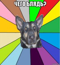 чего блядь? 