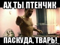 ах ты птенчик паскуда, тварь!