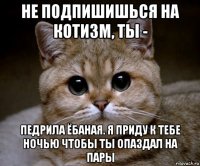 не подпишишься на котизм, ты - педрила ёбаная. я приду к тебе ночью чтобы ты опаздал на пары