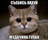 съебись нахуй мудачина тупая