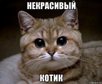 некрасивый котик