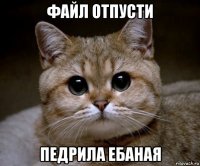 файл отпусти педрила ебаная