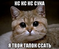 кс кс кс сука я твой тапок ссать