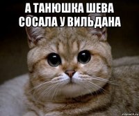 а танюшка шева сосала у вильдана 