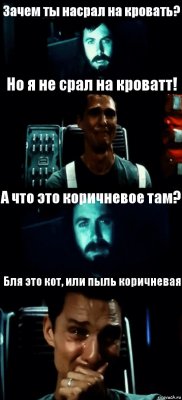 Зачем ты насрал на кровать? Но я не срал на кроватт! А что это коричневое там? Бля это кот, или пыль коричневая