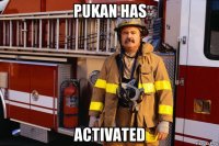 pukan has activated