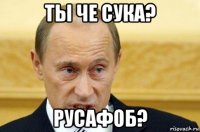 ты че сука? русафоб?