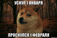 уснул 1 января проснулся 1 февраля