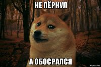 не пёрнул а обосрался