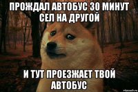 прождал автобус 30 минут сел на другой и тут проезжает твой автобус