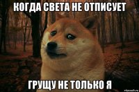 когда света не отписует грущу не только я