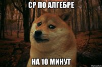 ср по алгебре на 10 минут