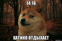 14:16 хатико отдыхает