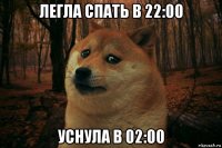 легла спать в 22:00 уснула в 02:00