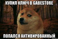 купил ключ в gabestore попался активированный