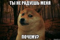 ты не радуешь меня почему?