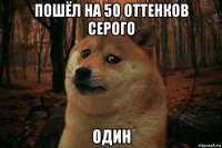 пошёл на 50 оттенков серого один