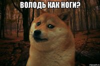 володь как ноги? 