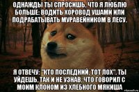 однажды ты спросишь, что я люблю больше: водить хоровод ушами или подрабатывать муравейником в лесу. я отвечу: "кто последний, тот лох". ты уйдешь, так и не узнав, что говорил с моим клоном из хлебного мякиша